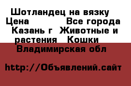 Шотландец на вязку › Цена ­ 1 000 - Все города, Казань г. Животные и растения » Кошки   . Владимирская обл.